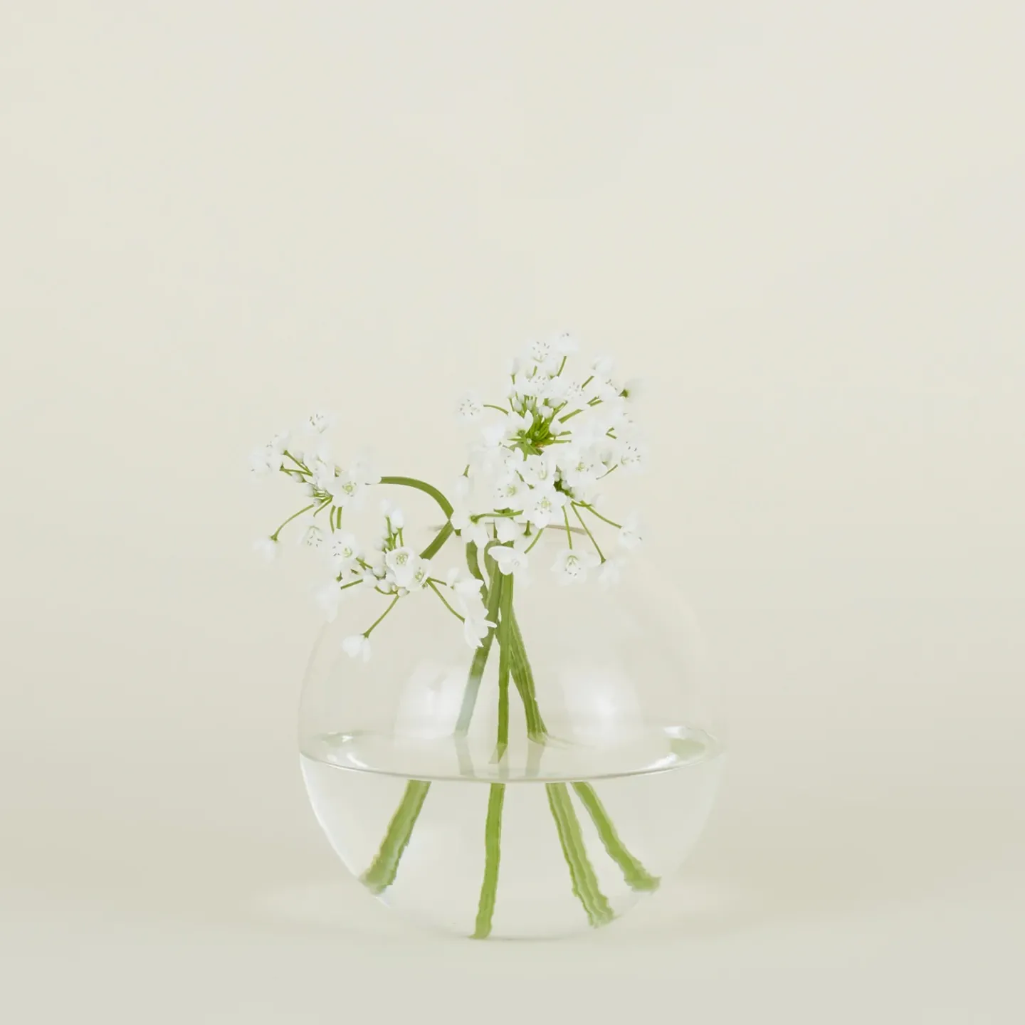 Hawkins New York Vases & Bowls^Aurora Sphere Vase