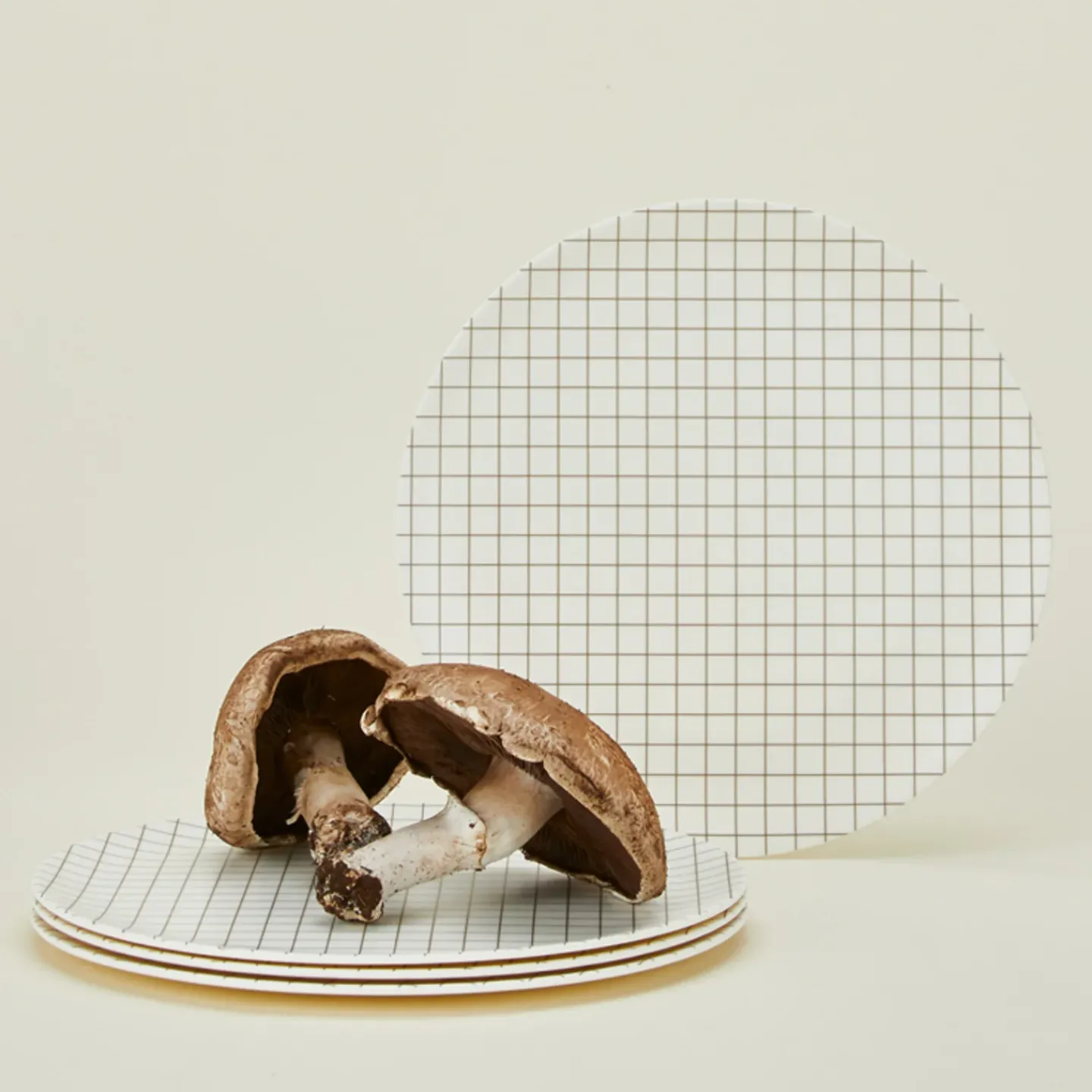 Xenia Taler Garden & Patio^Bamboo Melamine Dinner Plate Set