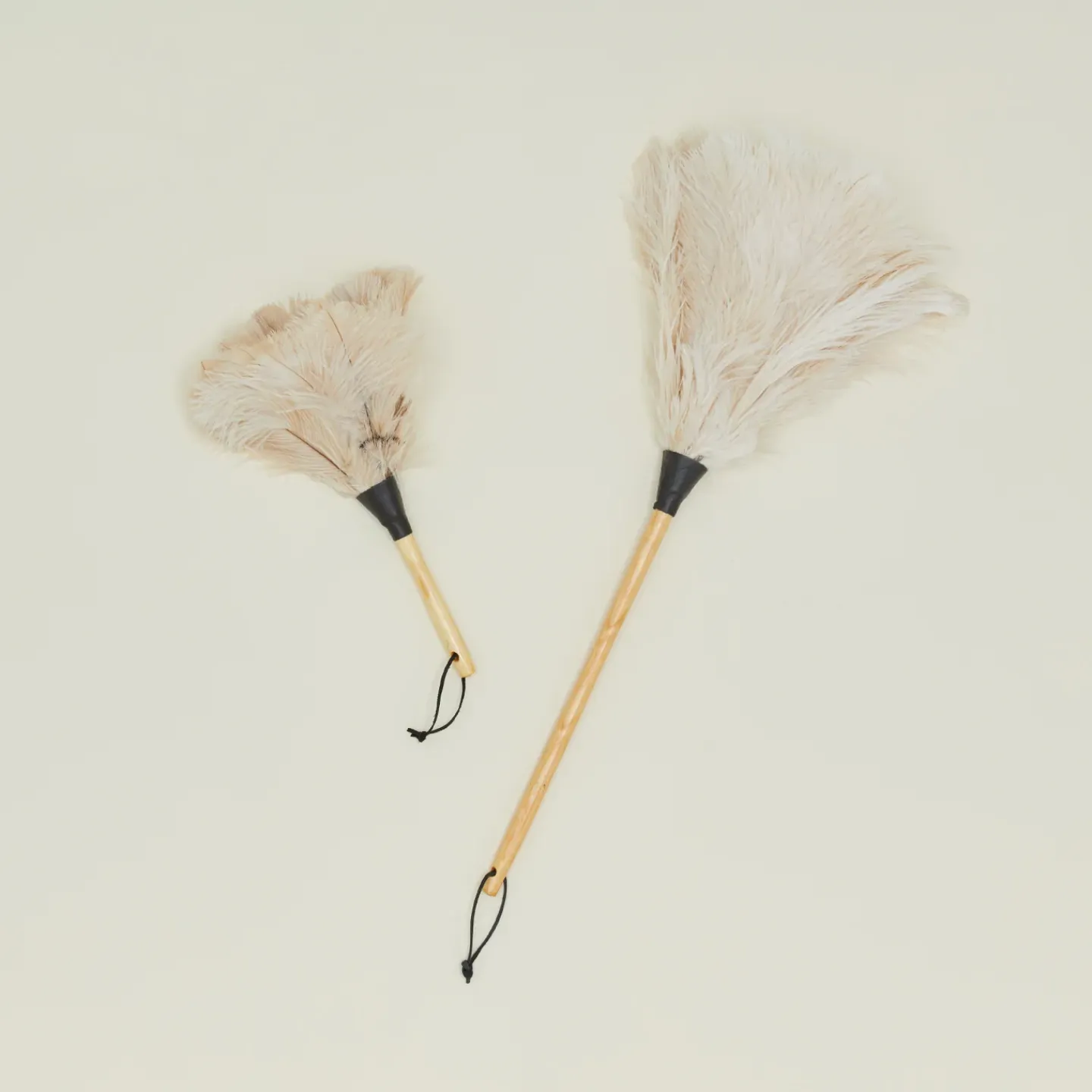 Earth and Nest Kitchen Cleaning^Feather Duster