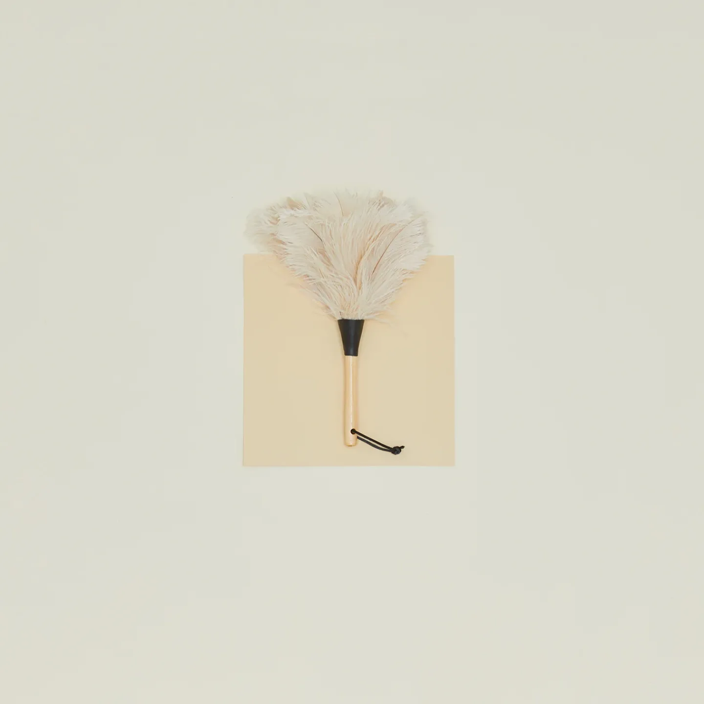 Earth and Nest Kitchen Cleaning^Feather Duster