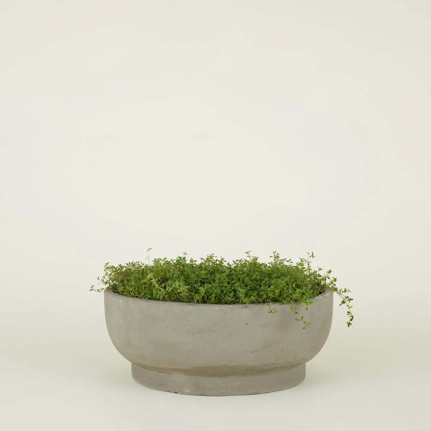 Hawkins New York Garden & Patio^Footed Bowl Planter