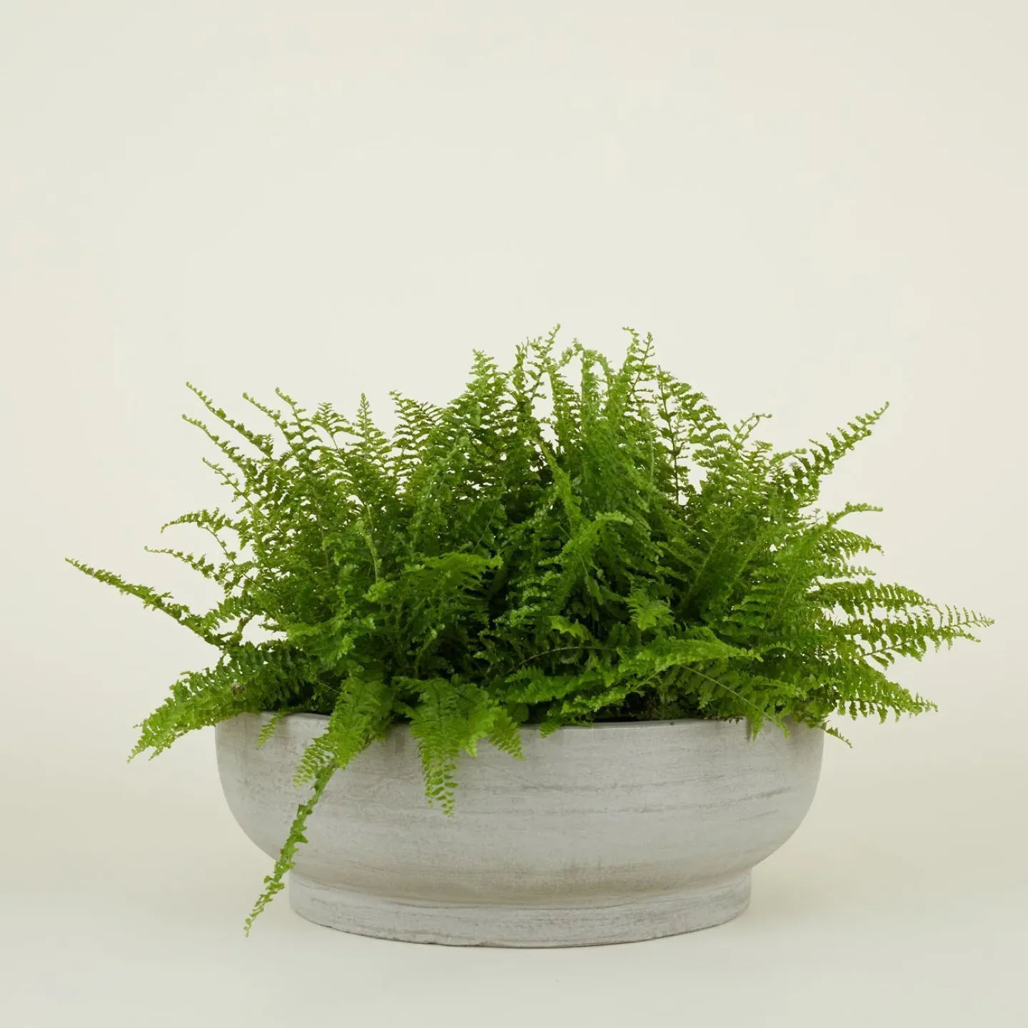Hawkins New York Garden & Patio^Footed Bowl Planter