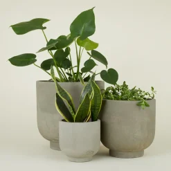 Hawkins New York Garden & Patio^Footed Planter