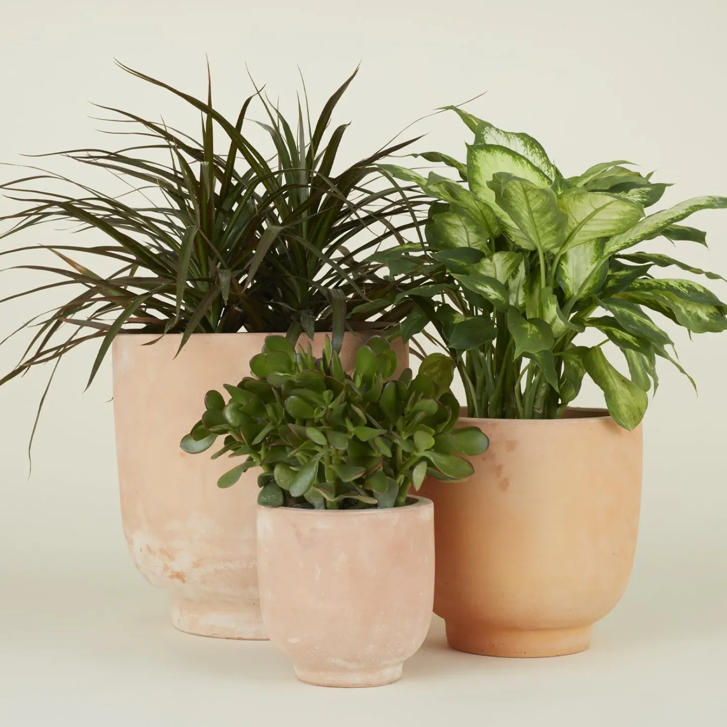 Hawkins New York Garden & Patio^Footed Planter