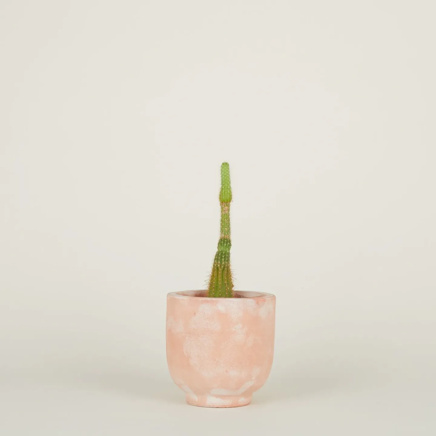 Hawkins New York Garden & Patio^Footed Planter