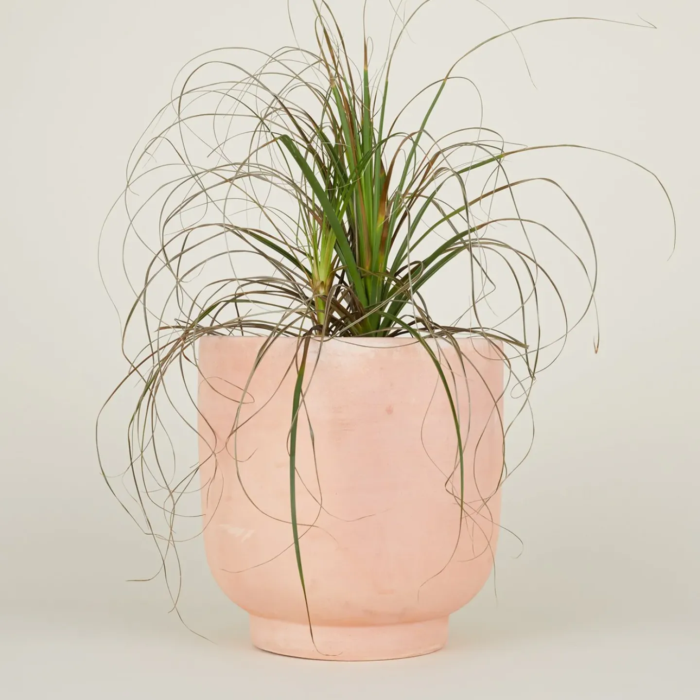 Hawkins New York Garden & Patio^Footed Planter