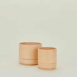 Greenery Unlimited Garden & Patio^Franklin Self Watering Planter