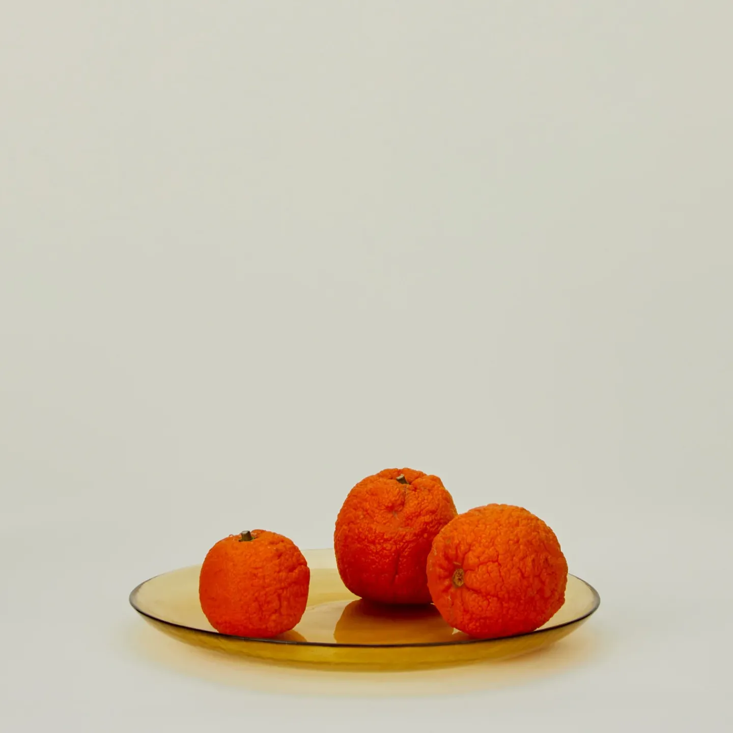 British Colour Standard Dinnerware^Glass Dinner Plate