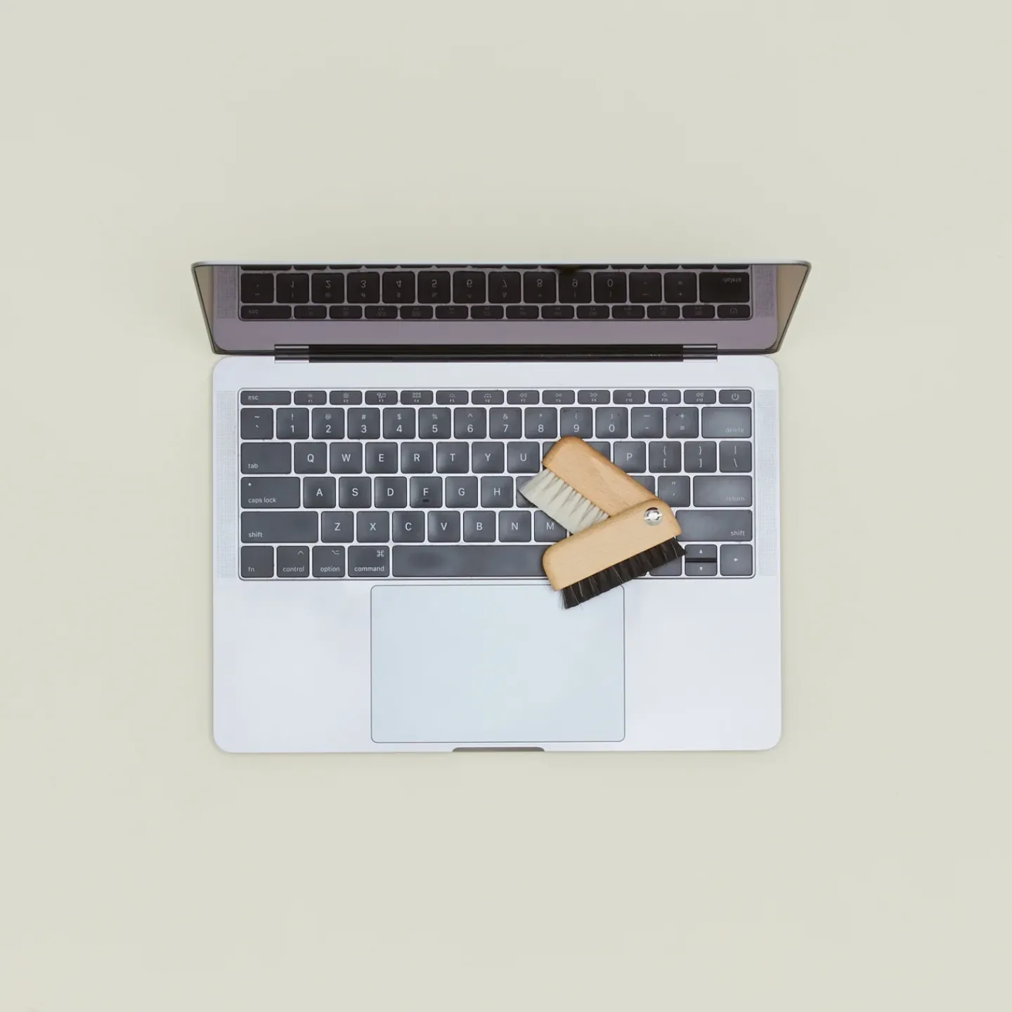 Earth and Nest Kitchen Cleaning|Office & Games^Laptop Brush