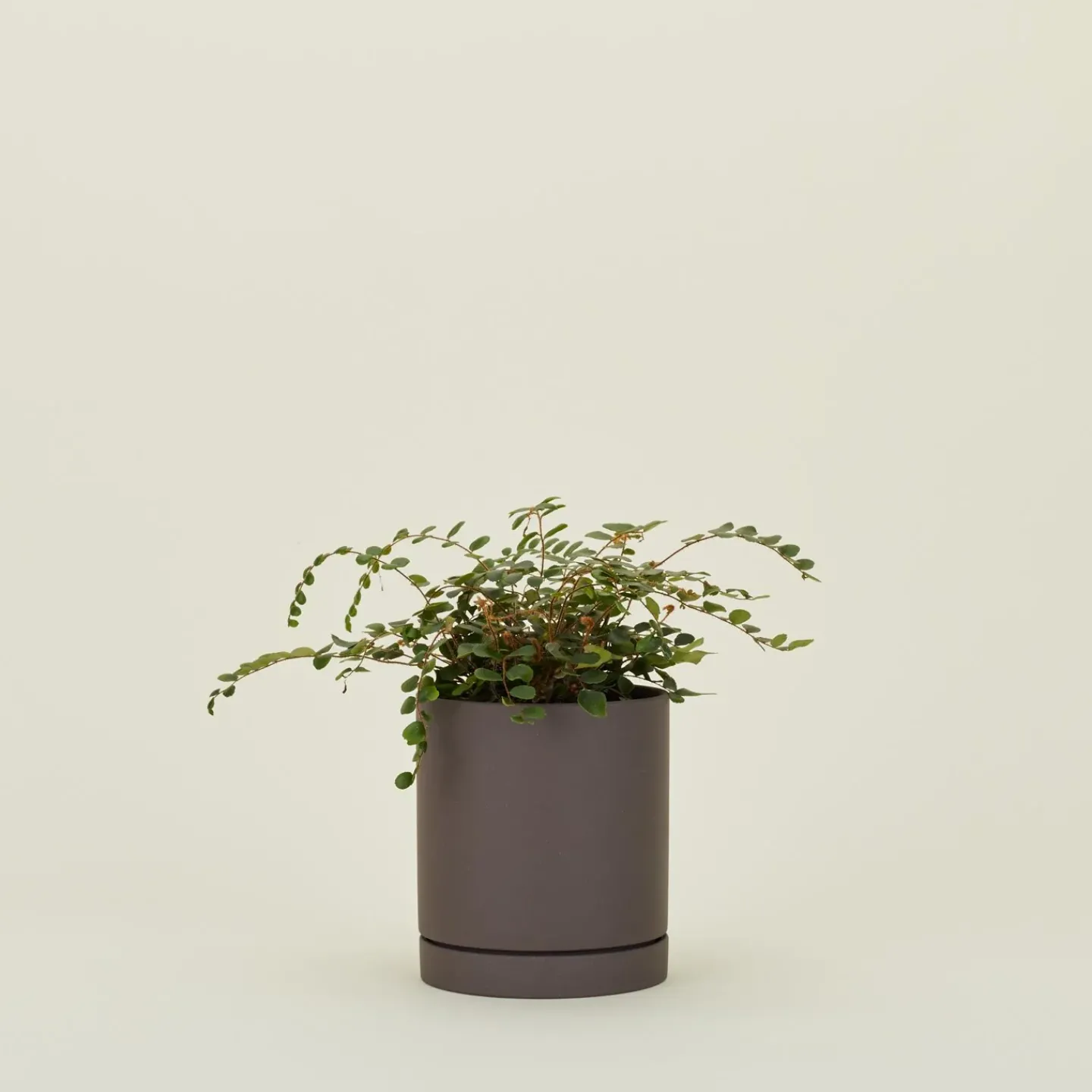 Ferm Living Garden & Patio^Sekki Pot