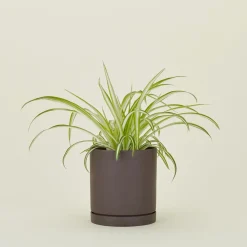 Ferm Living Garden & Patio^Sekki Pot