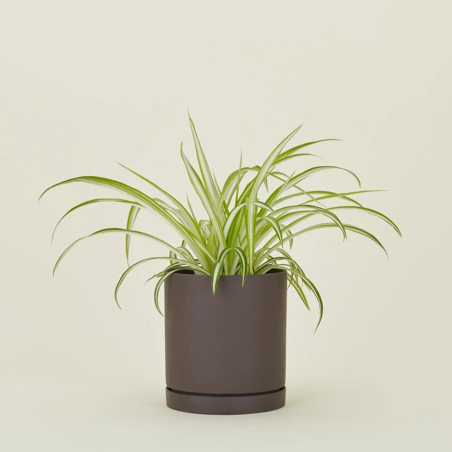 Ferm Living Garden & Patio^Sekki Pot