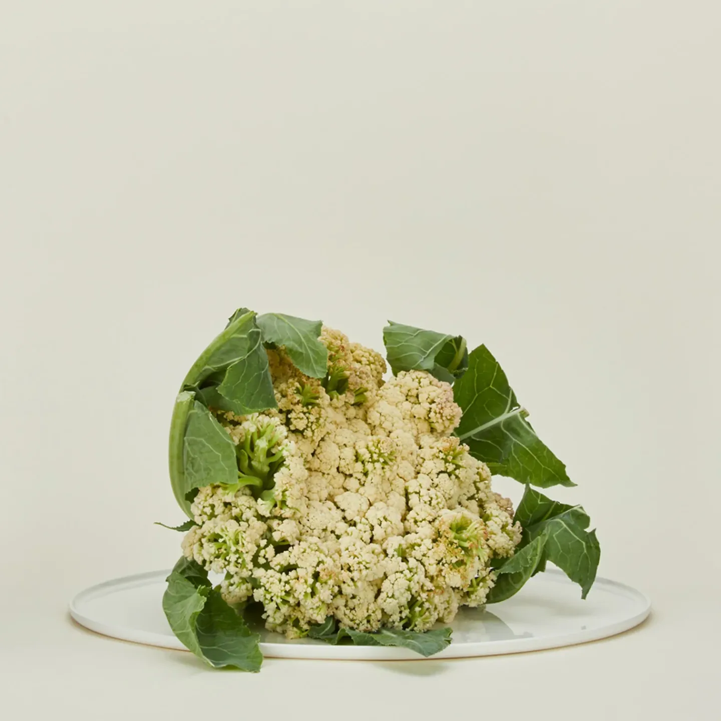 Hawkins New York Serveware^Simple Porcelain Serving Platter