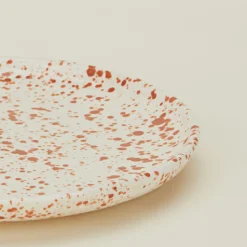 Sir/Madam Dinnerware^Splatterware Plate, Set of 4