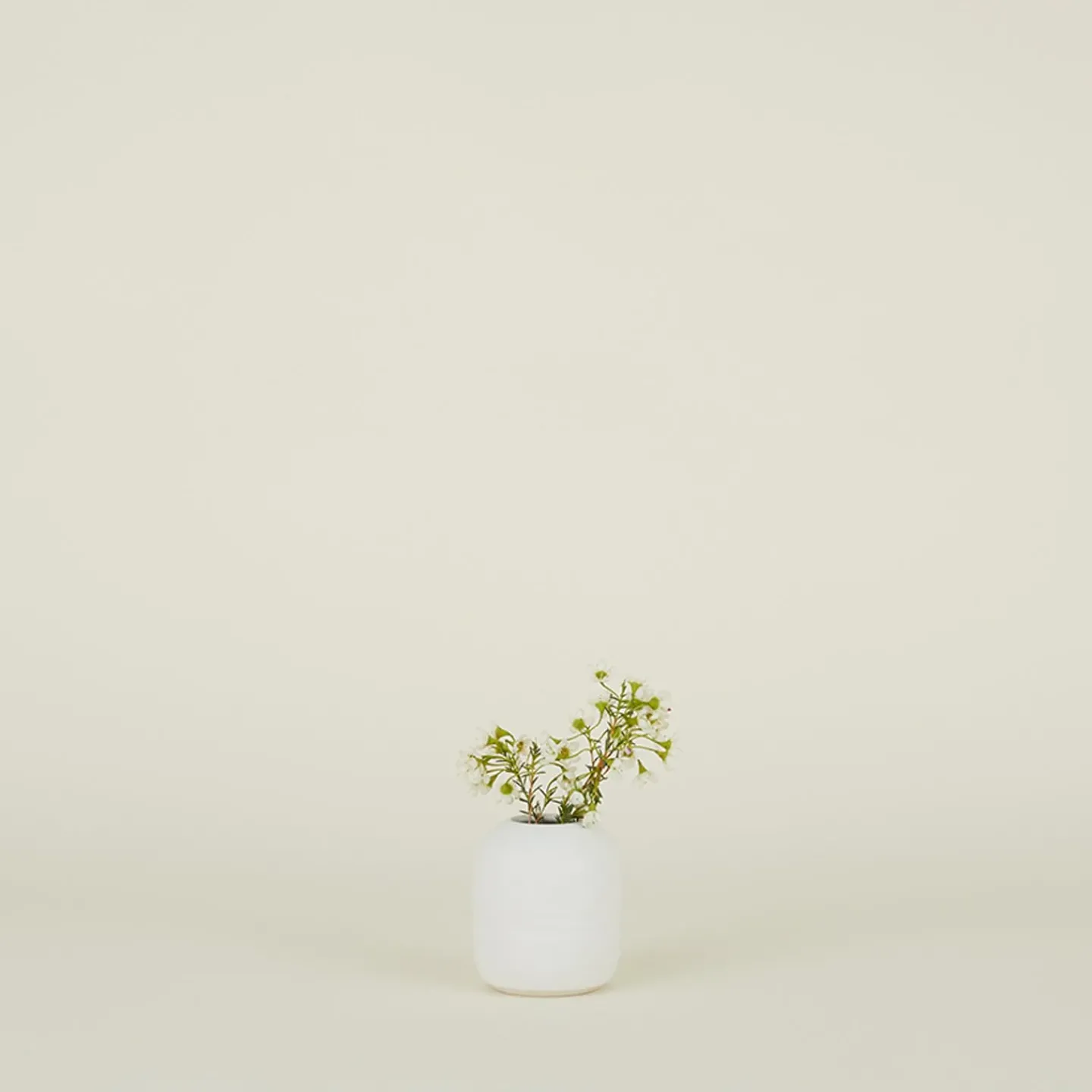 Sheldon Ceramics Vases & Bowls^Stoneware Vase