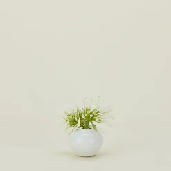 Convivial Vases & Bowls^Verdure Vase