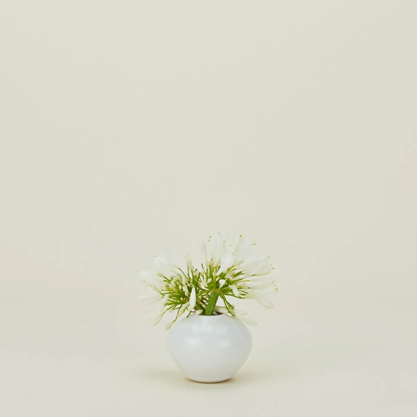 Convivial Vases & Bowls^Verdure Vase