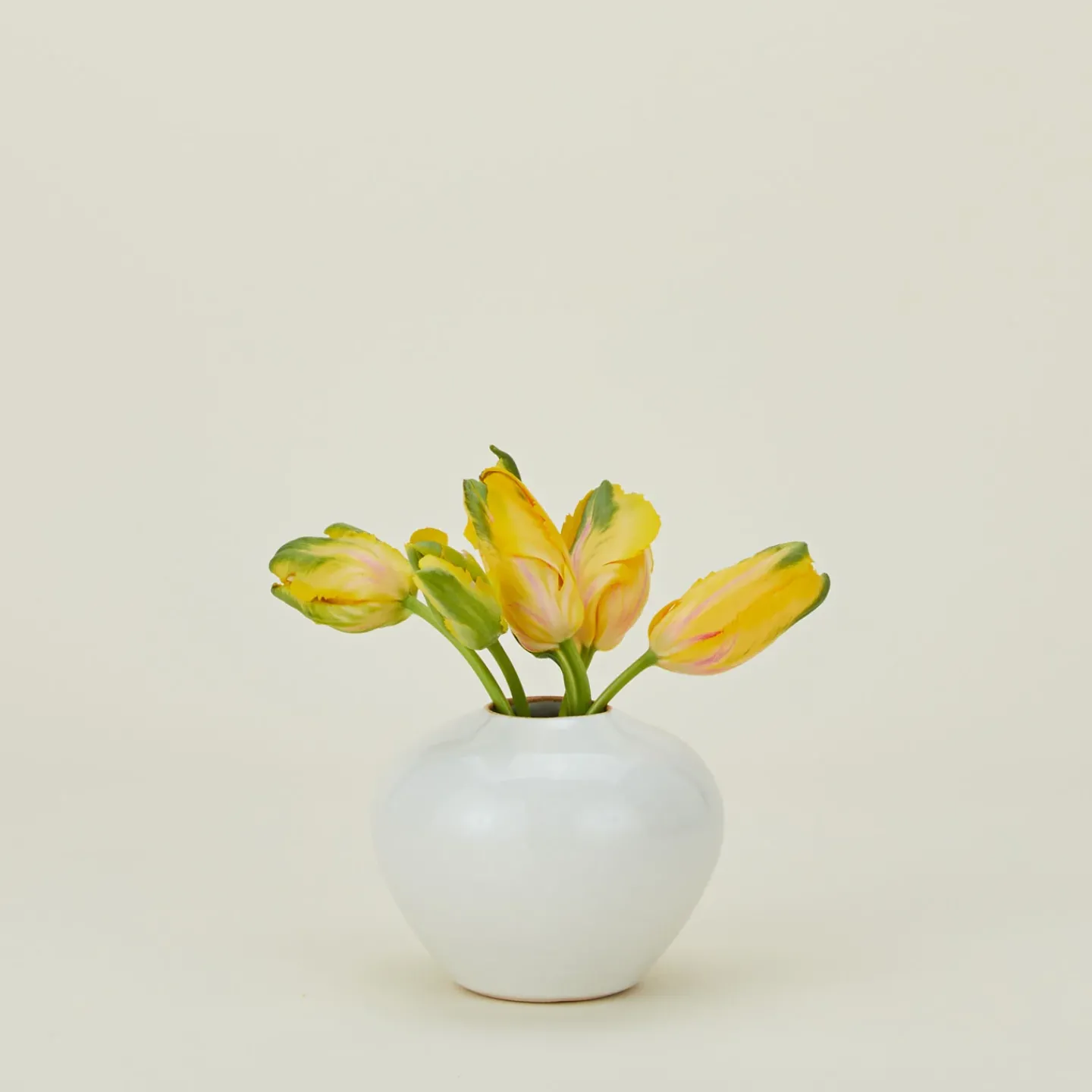 Convivial Vases & Bowls^Verdure Vase