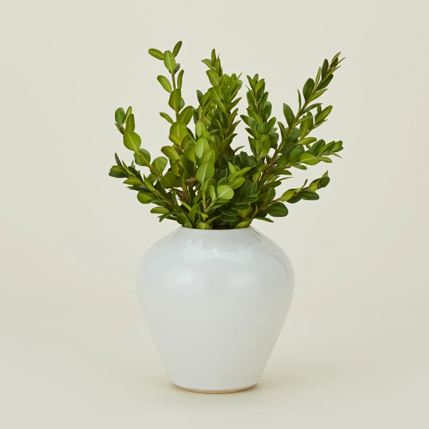 Convivial Vases & Bowls^Verdure Vase